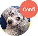 Confi